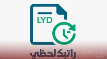 عاجل رابط منظومة راتبك لحظي 2025 لمتابعة رواتبكم بسهولة وشفافية 1